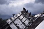 Ravens Roost, Sitka, Alaska